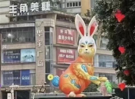 中國醜女 兔跟狗合嗎
